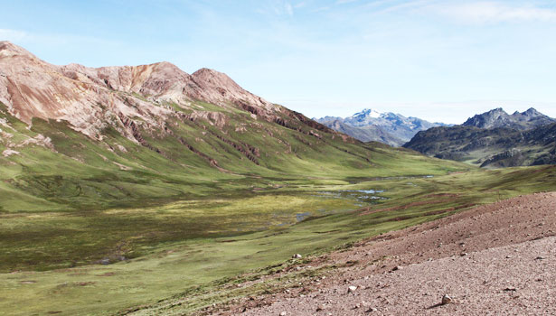 bogs-marcapomacocha_white-bellied cinclodes_peru habitats