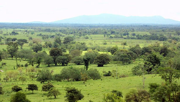 pasture and agricultural land - Peru