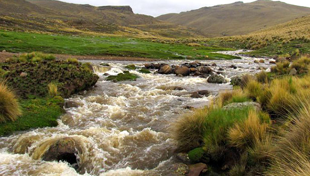 stream bird habitat Peru
