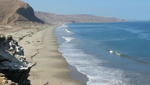 coastal waters bird habitat