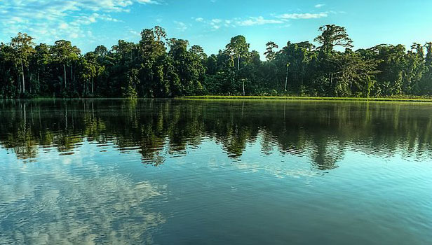 oxbow lake bird habitat