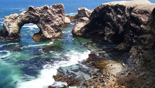 rocky beaches and cliff bird habitat_peru