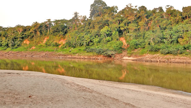 sandy beaches as habitat