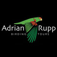 Adrrian Rupp