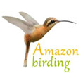 amazon birding 