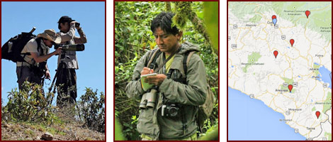 bird sighting citizen science