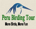 birds of Peru