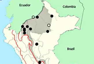 birds of peru map